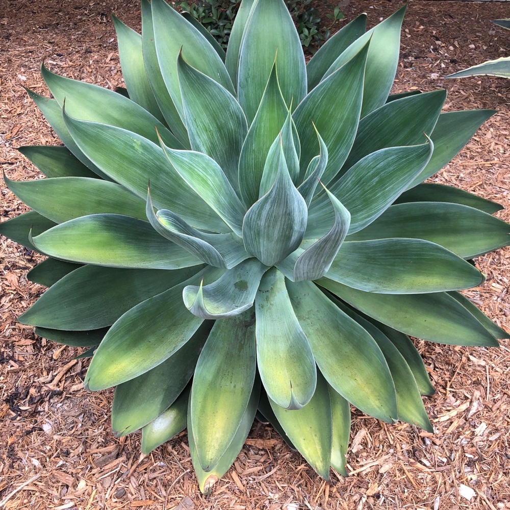 Meet your Posher, Vilma